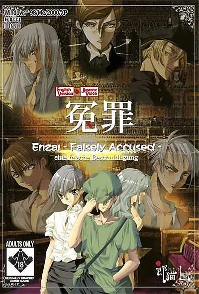 《冤罪2004》全集高清完整版在线观看与剧情解析