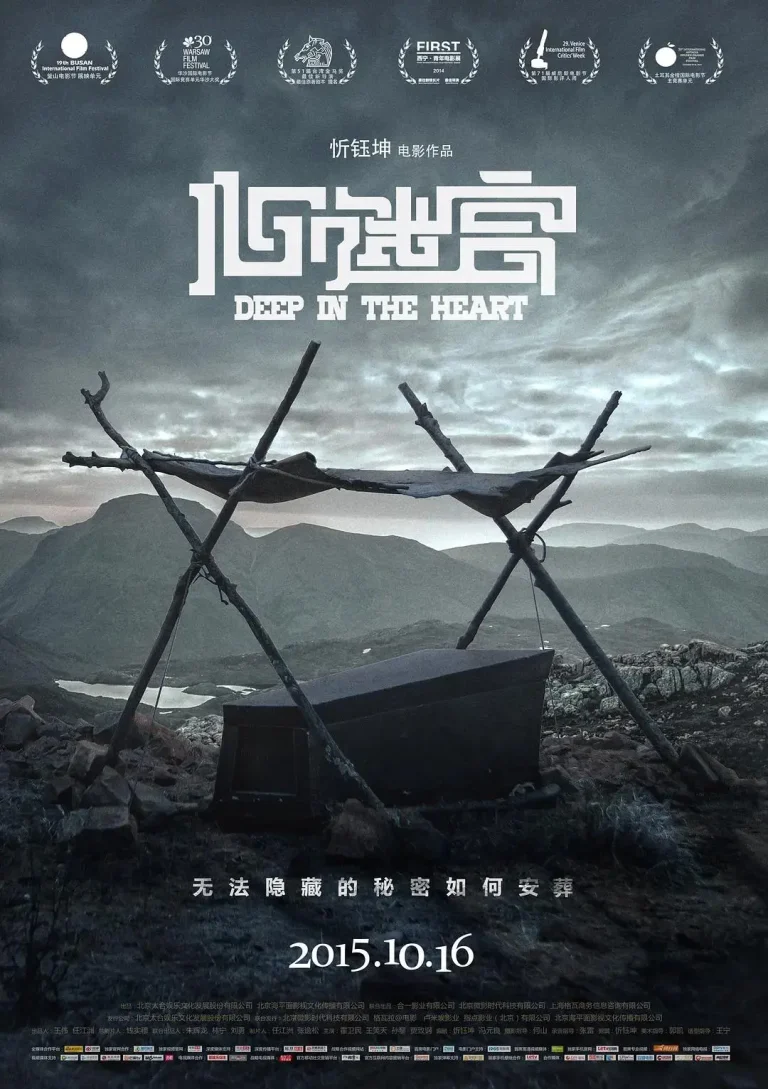 《心迷宫》全集高清完整版在线观看与剧情解析