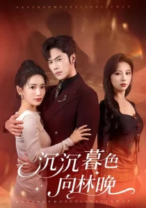 沉沉暮色向林晚