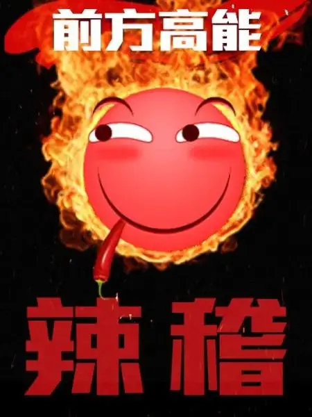 《前方高能之辣稽》全集高清完整版在线观看与剧情解析