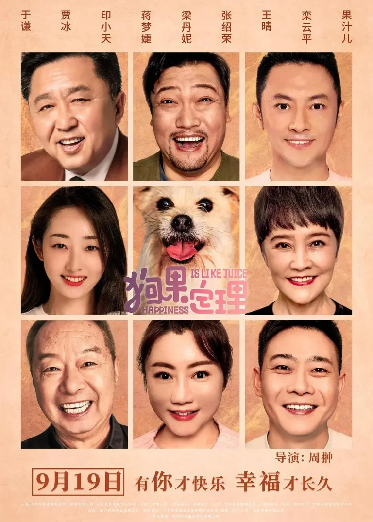 《狗果定理》全集高清完整版在线观看与剧情解析